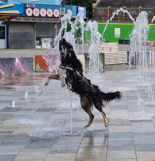 'Celebrating Freedom from Duty' by Ursula Gardiner, Leigh Estuary u3a